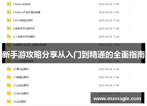 新手游攻略分享从入门到精通的全面指南